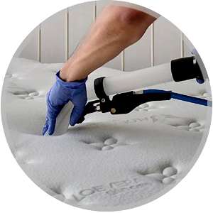 Carpet Clean and Dry Mattress Cleaning